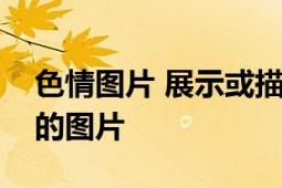 色情图片 展示或描述人类身体或人类性行为的图片