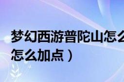 梦幻西游普陀山怎么加点的（梦幻西游普陀山怎么加点）