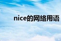 nice的网络用语（nice 网络流行语）