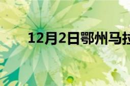 12月2日鄂州马拉松大赛（12月2日）