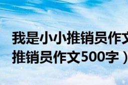 我是小小推销员作文500字说明文（我是小小推销员作文500字）