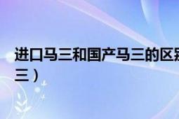 进口马三和国产马三的区别在哪里（卖进口马三还是国产马三）