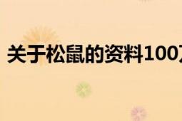 关于松鼠的资料100万字（关于松鼠的资料）