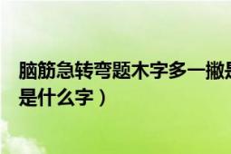 脑筋急转弯题木字多一撇是什么字（脑筋急转弯木字多一撇是什么字）