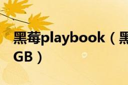 黑莓playbook（黑莓PlayBook平板电脑32GB）