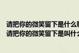 请把你的微笑留下是什么歌的歌词（请把我的歌带回你的家请把你的微笑留下是叫什么歌名）