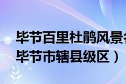 毕节百里杜鹃风景名胜区（百里杜鹃 贵州省毕节市辖县级区）