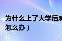 为什么上了大学后感觉好无聊（大学好无聊啊怎么办）