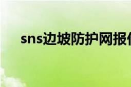 sns边坡防护网报价（SNS边坡防护网）