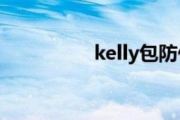 kelly包防伪（Kelly包）