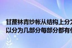 甘蔗林青纱帐从结构上分为几部分（甘蔗林青纱帐结构上可以分为几部分每部分都有什么意义）