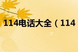 114电话大全（114 114电话导航信息服务）