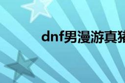 dnf男漫游真猪（dnf男漫游吧）