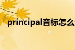 principal音标怎么读（principal怎么读）