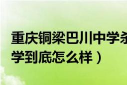 重庆铜梁巴川中学杀人案（铜梁的重庆巴川中学到底怎么样）