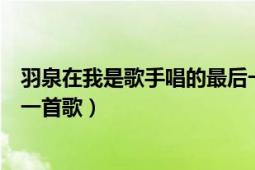 羽泉在我是歌手唱的最后一首歌（羽泉在我是歌手唱的最后一首歌）