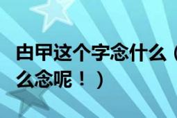 甴曱这个字念什么（甴曱……这俩字不认识怎么念呢！）