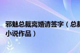 邪魅总裁离婚请签字（总裁离婚请签字 小妖火火创作的网络小说作品）