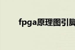 fpga原理图引脚分配（FPGA原理）