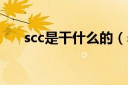 scc是干什么的（scc宽宽是干什么的）