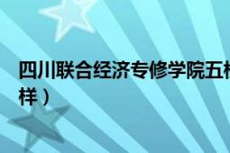 四川联合经济专修学院五校区（四川联合经济专修学院怎么样）