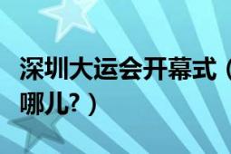 深圳大运会开幕式（深圳大运会开幕式地点在哪儿?）