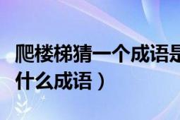 爬楼梯猜一个成语是什么（爬楼梯打一成语是什么成语）