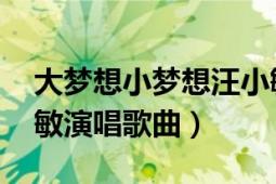 大梦想小梦想汪小敏平安唱的（我的梦 汪小敏演唱歌曲）