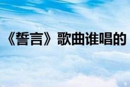 《誓言》歌曲谁唱的（誓言 徐怀钰演唱歌曲）