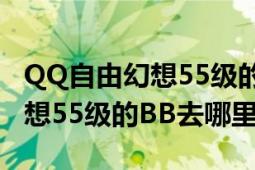 QQ自由幻想55级的BB去哪里带（QQ自由幻想55级的BB去哪里带）