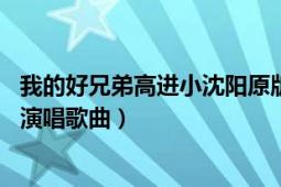 我的好兄弟高进小沈阳原版伴奏（我的好兄弟 高进、小沈阳演唱歌曲）