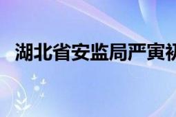 湖北省安监局严寅初（湖北省安监局网站）