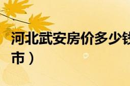 河北武安房价多少钱一平（河北武安属于哪个市）