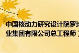 中国核动力研究设计院罗琦（罗琦 全国政协委员、中国核工业集团有限公司总工程师）