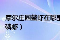 摩尔庄园螯虾在哪里获取（摩尔庄园怎样得到磷虾）