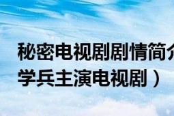 秘密电视剧剧情简介王学兵（秘密 2006年王学兵主演电视剧）