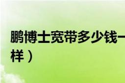 鹏博士宽带多少钱一年（请问鹏博士宽带怎么样）