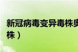 新冠病毒变异毒株奥密克戎（新冠病毒变异毒株）