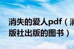 消失的爱人pdf（消失的爱人 2013年中信出版社出版的图书）