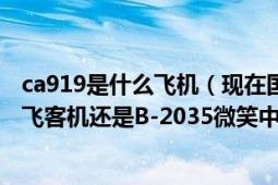 ca919是什么飞机（现在国航北京至纽约的CA989航班的执飞客机还是B-2035微笑中国吗）