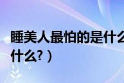 睡美人最怕的是什么两个字（睡美人最怕的是什么?）