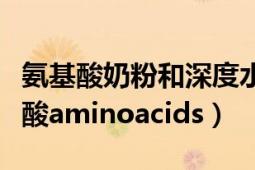 氨基酸奶粉和深度水解奶粉有什么区别（氨基酸aminoacids）