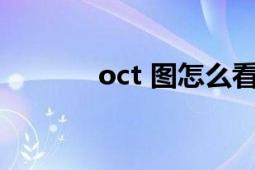 oct 图怎么看（OCT 八进制）