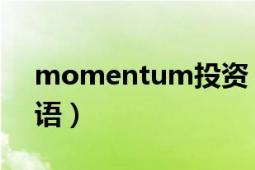 momentum投资（Momentum 投资学术语）