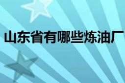 山东省有哪些炼油厂（山东省有哪些炼油厂）