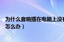 为什么音响插在电脑上没有声音呢（电脑上插了音响没声音怎么办）