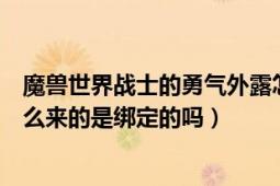 魔兽世界战士的勇气外露怎么获得（魔兽世界激荡的魔精怎么来的是绑定的吗）