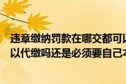 违章缴纳罚款在哪交都可以吗（违章处罚的罚款在哪儿交可以代缴吗还是必须要自己本人去）