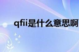 qfii是什么意思啊（qfii是什么意思啊）