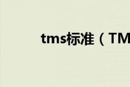 tms标准（TMS TMS文件定义）